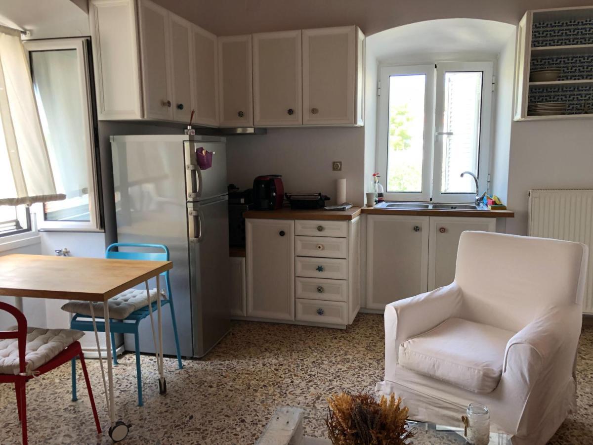 Laluzaki Apartment Spetses Town Bagian luar foto