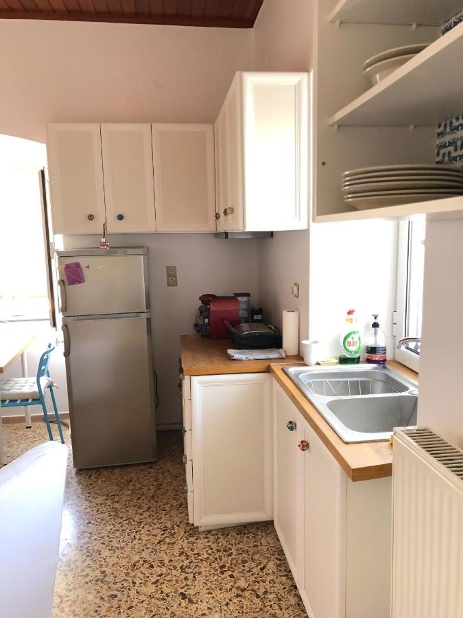 Laluzaki Apartment Spetses Town Bagian luar foto